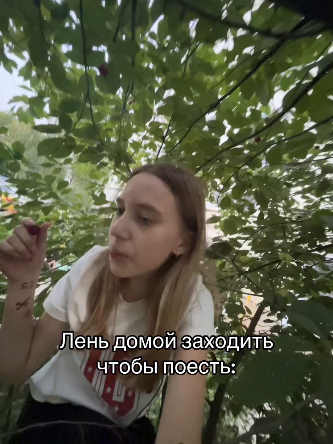@Элвiн#хулеганы🥶🌬️