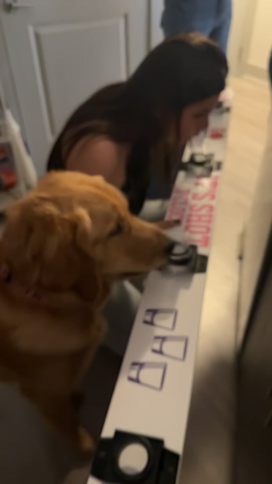 @Maverick McPaws
