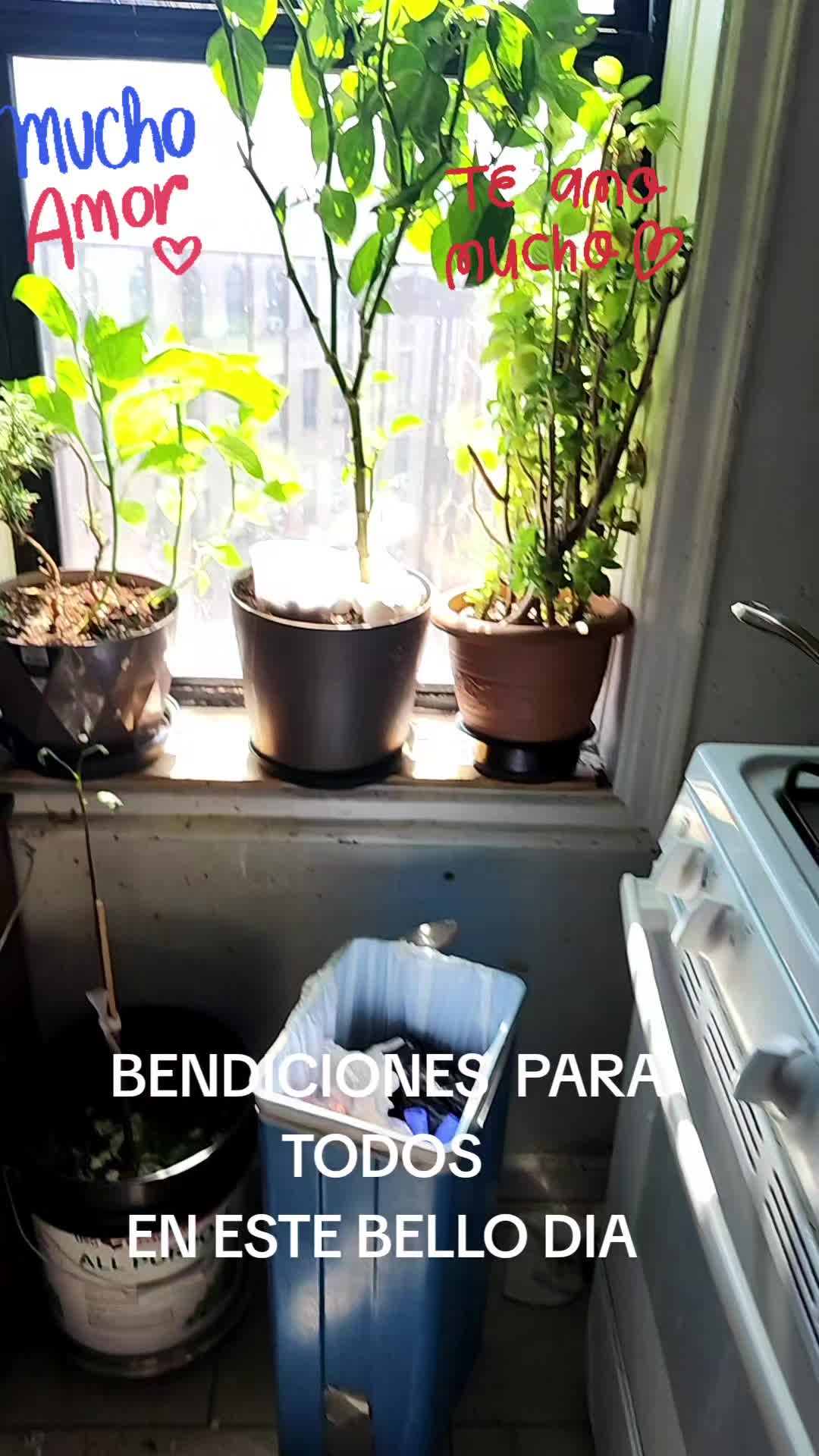 @julio sólido 31