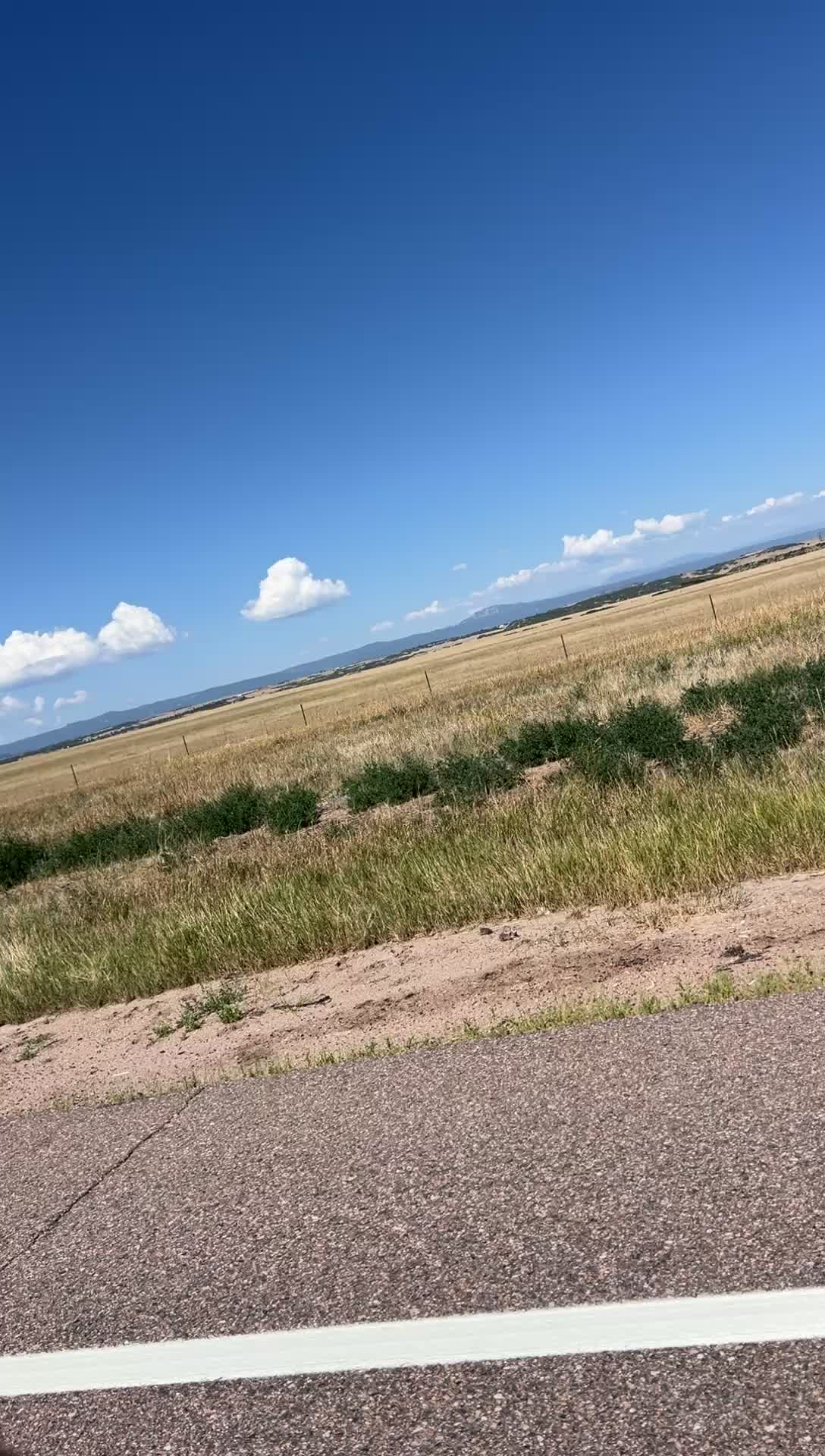 @donbeto303