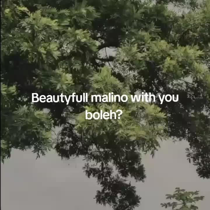 @goodvibez0