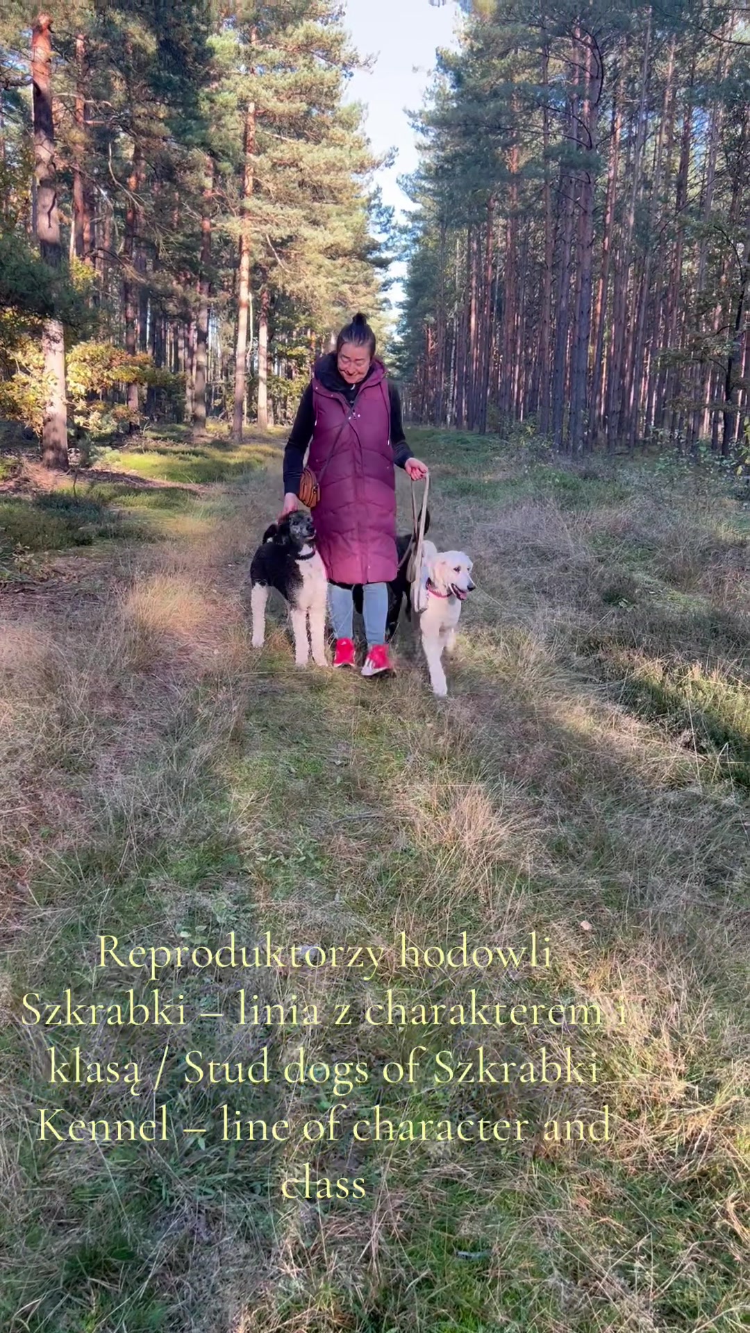 @hodowlaszkrabki