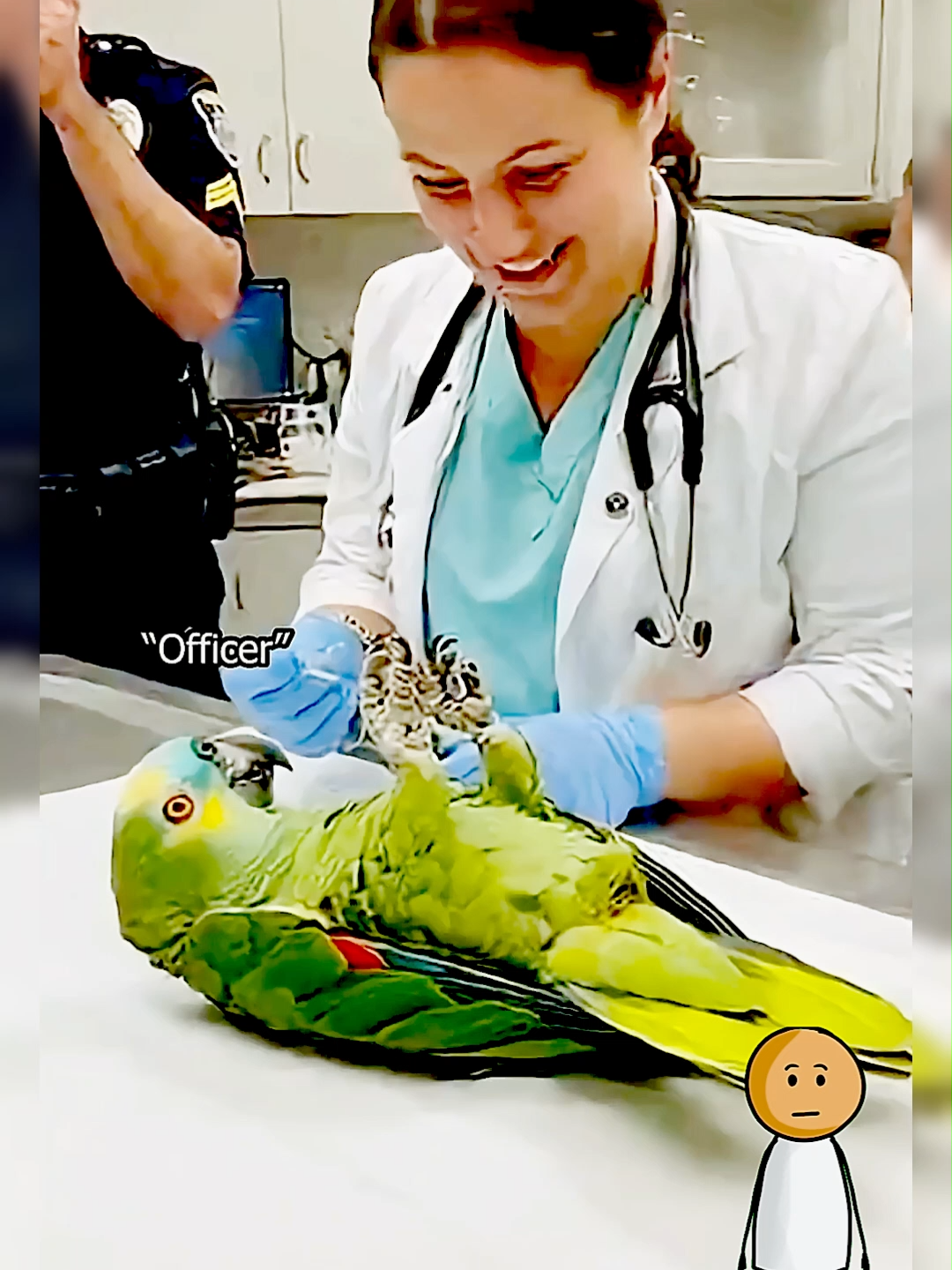 @Funny Animal Voiceover