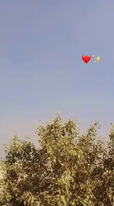 @ali property zone