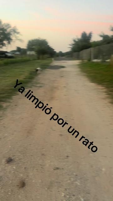 @LYNDAREBE