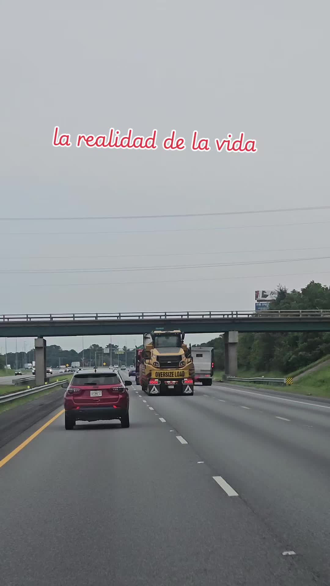 @luisjuarez691