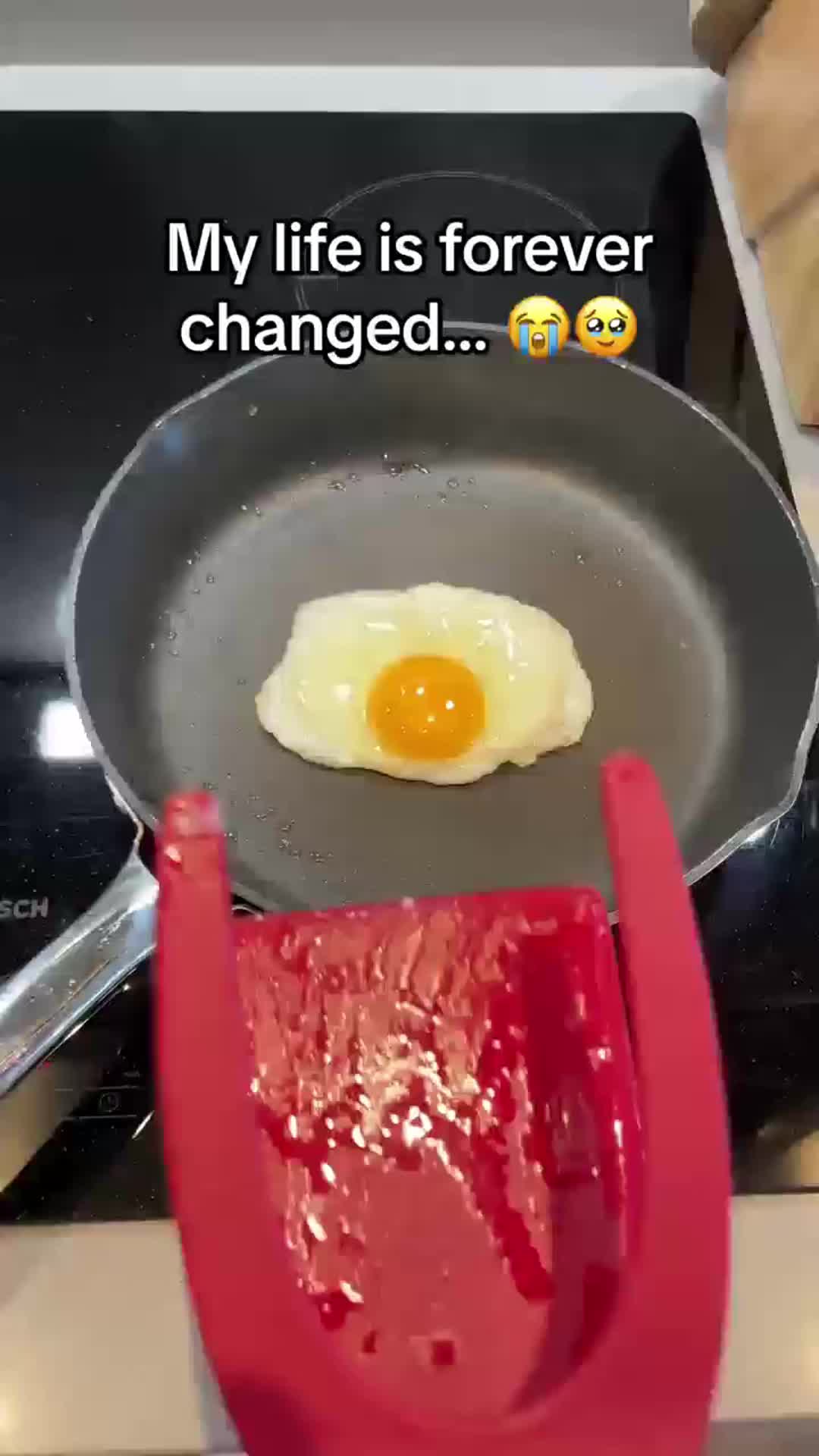@Dr.qifei