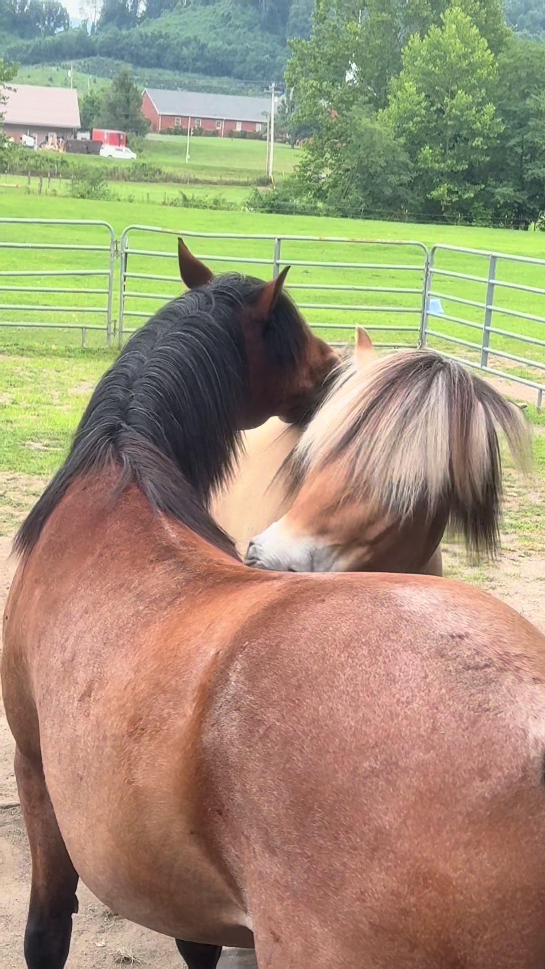 @Janet..Fuzzy.farm.gang
