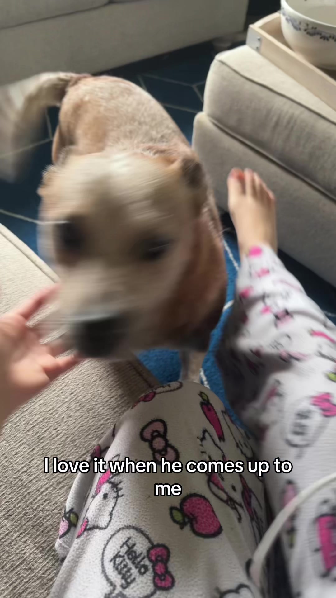 @ykufwsteph