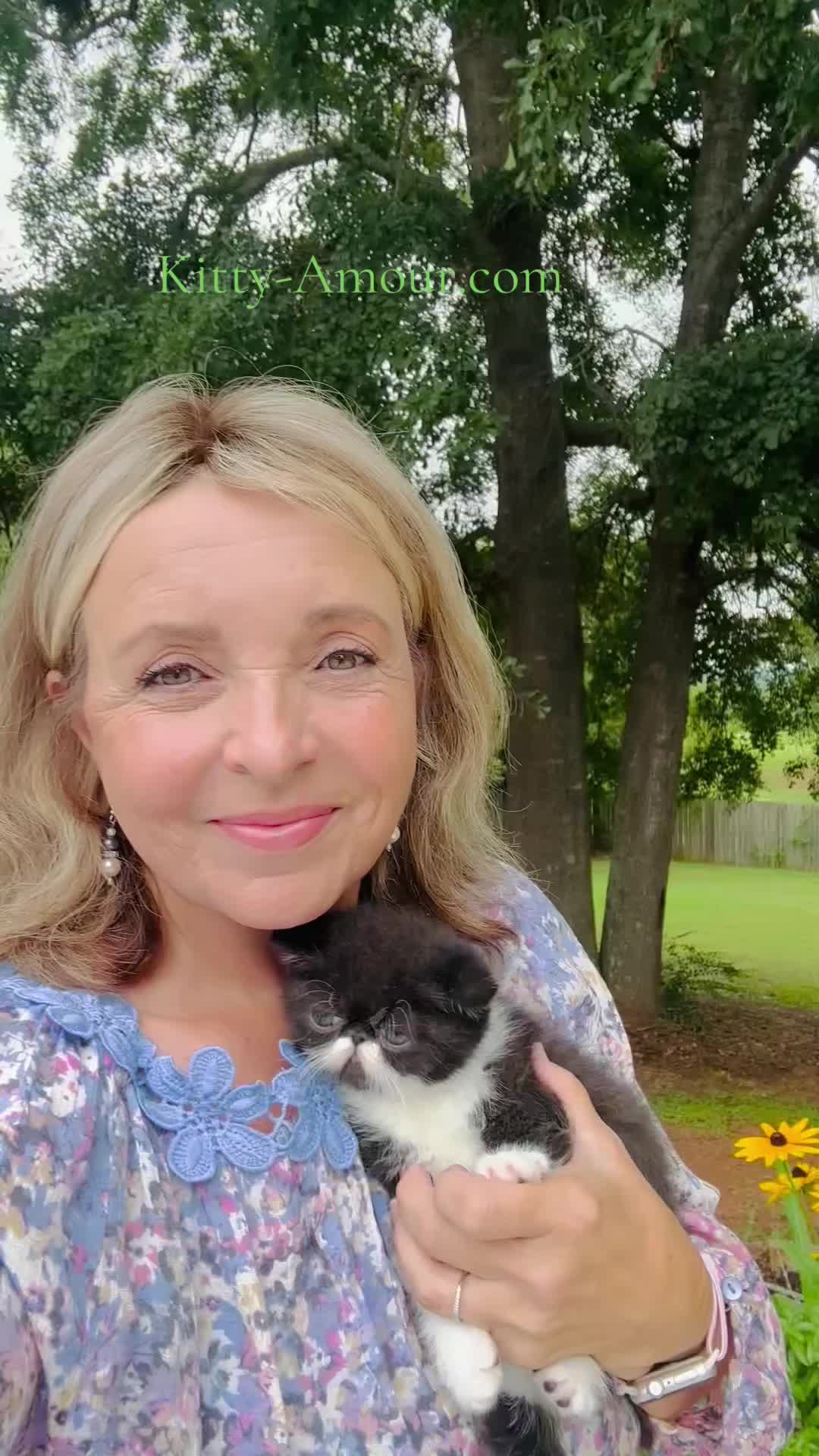 @KittyAmourCattery