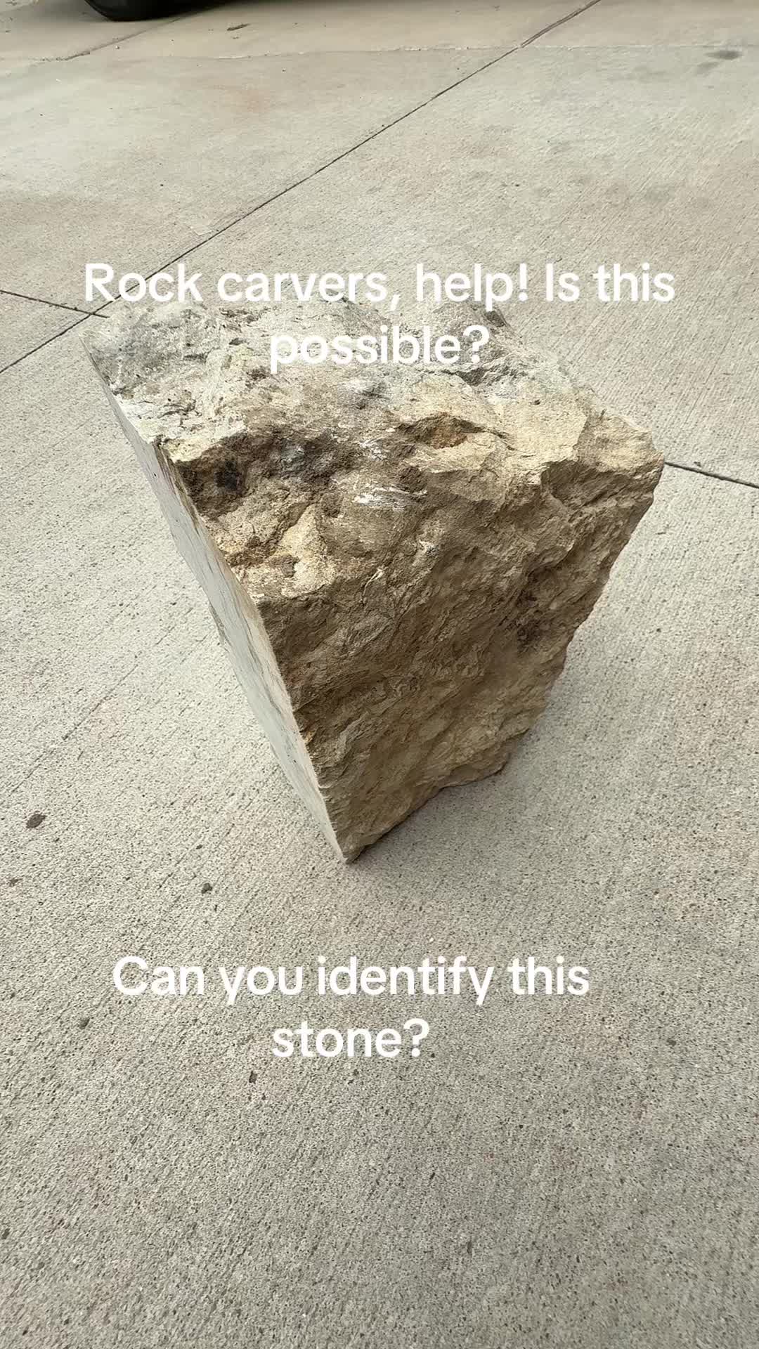 @ProphetShroomDaddy