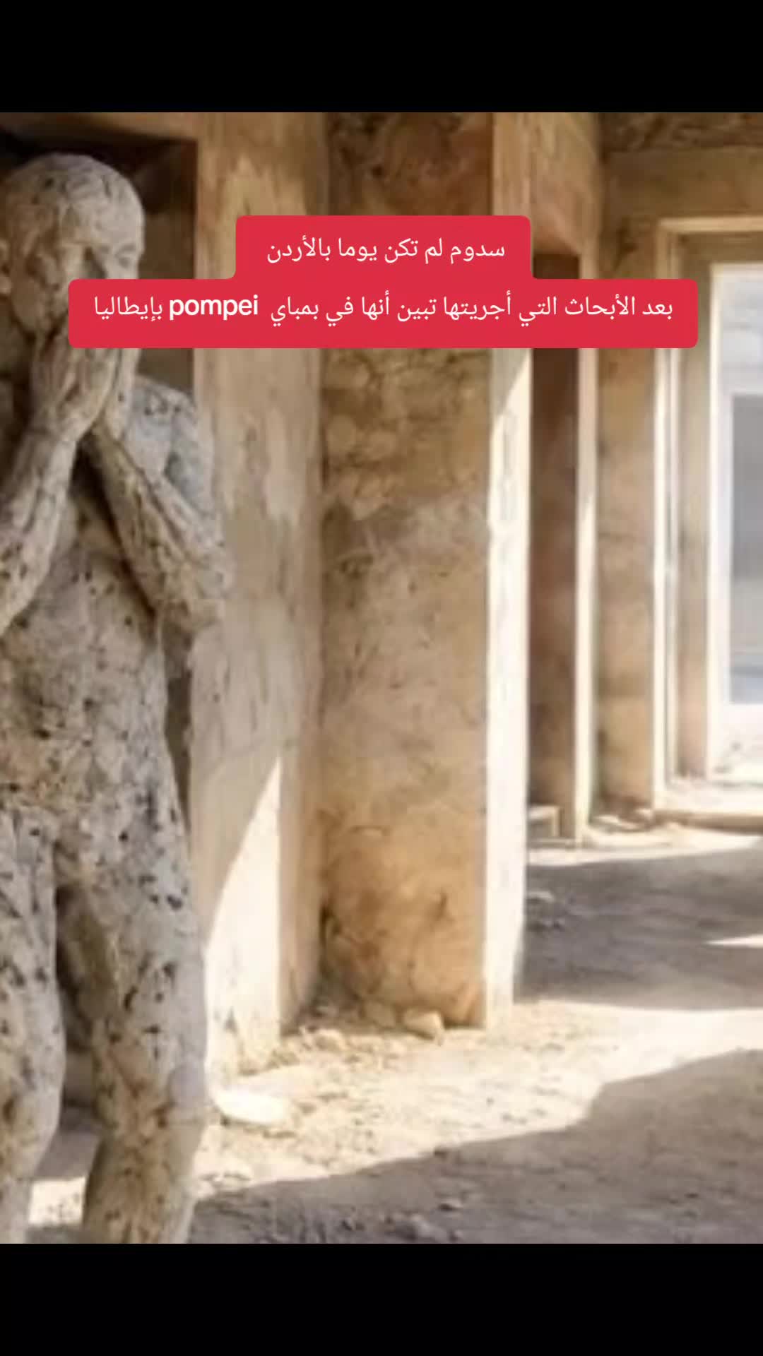 @حميد نشاط