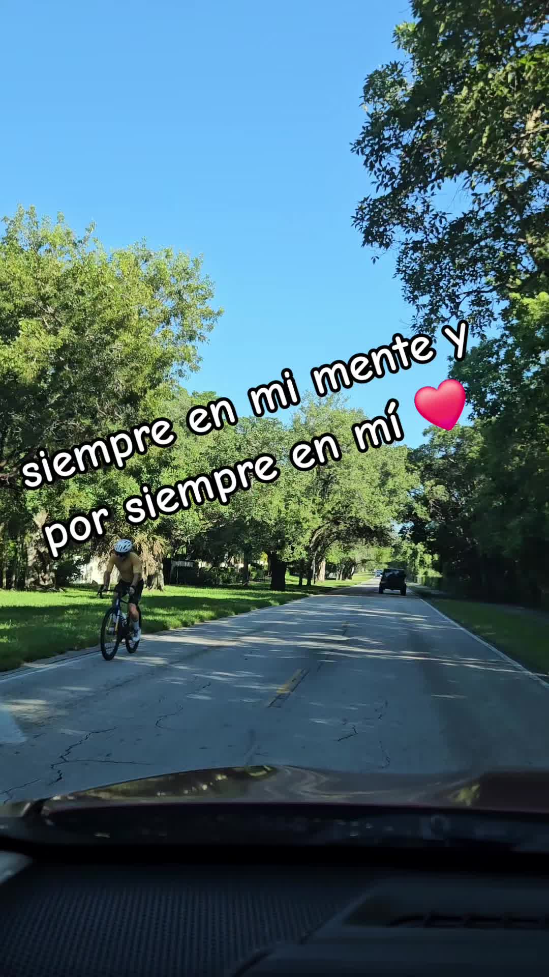 @ANJELICA@