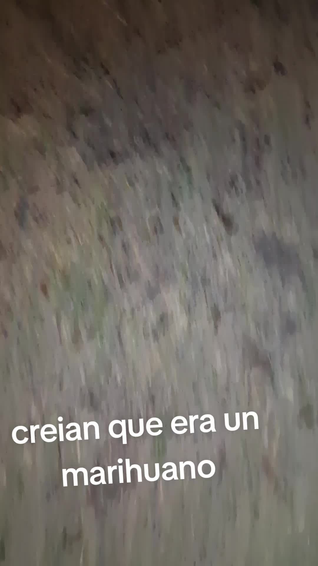 @T£|<0L0T€ 《○=○》