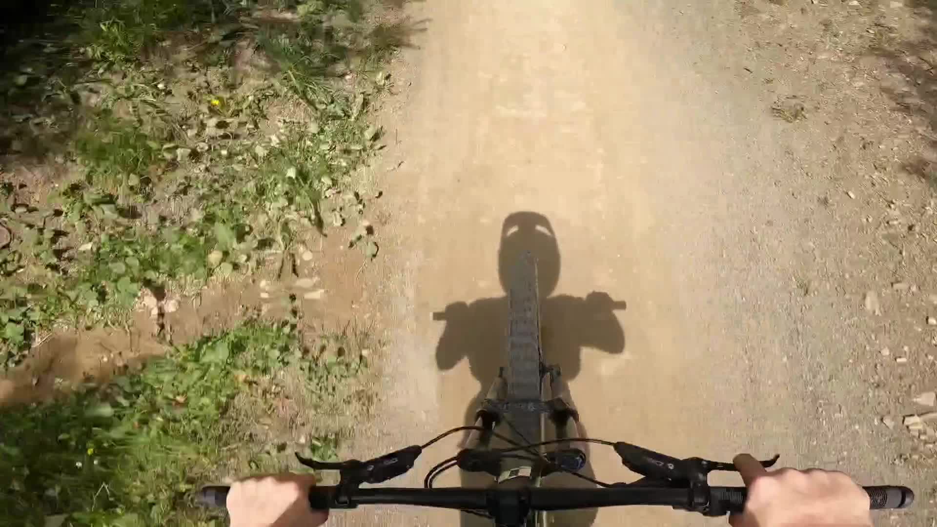 @Levi._.fr🦅🇩🇪
