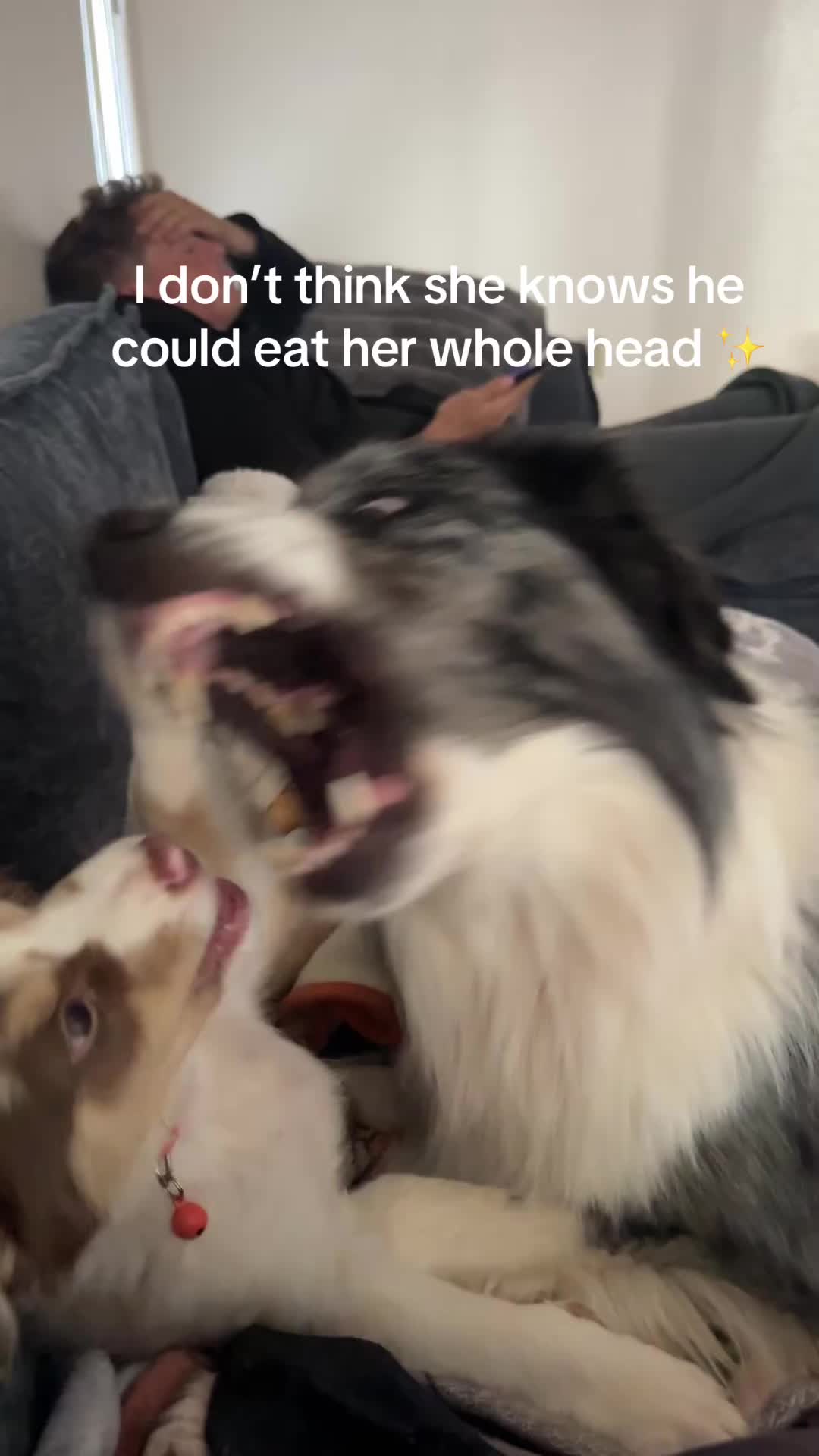 @Isla the Aussie