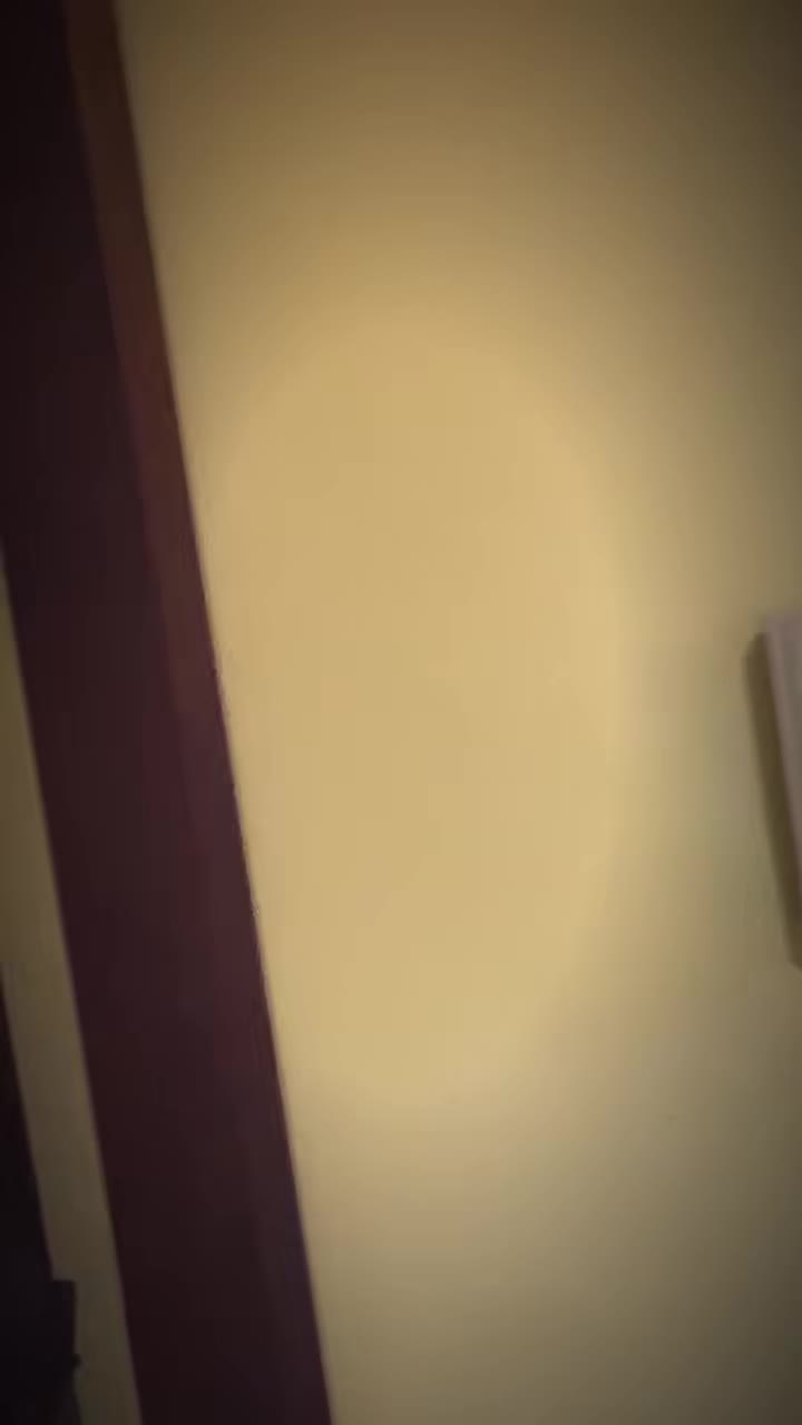 @maha_lakshimi1406