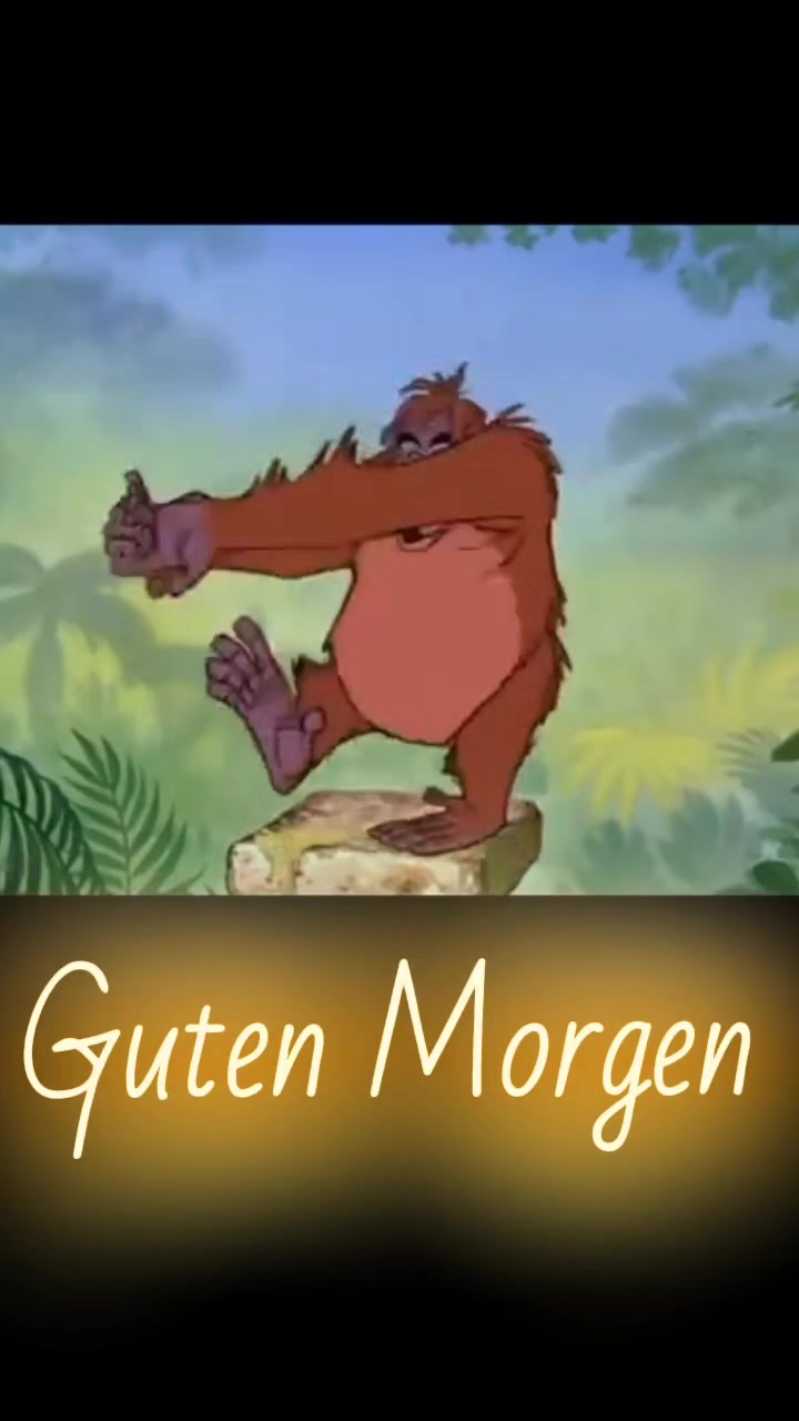 @zahnzaubermaeuschen