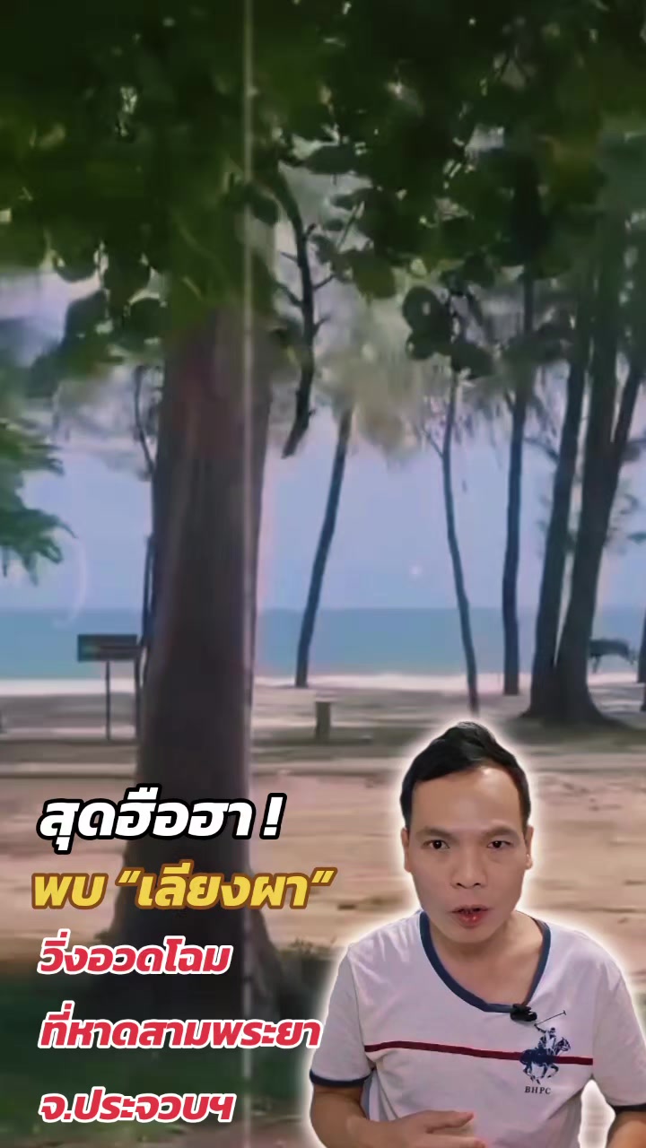 @ทันข่าว News by วัต