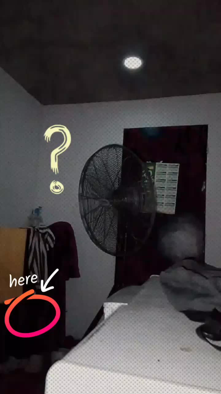 @delbertofficial
