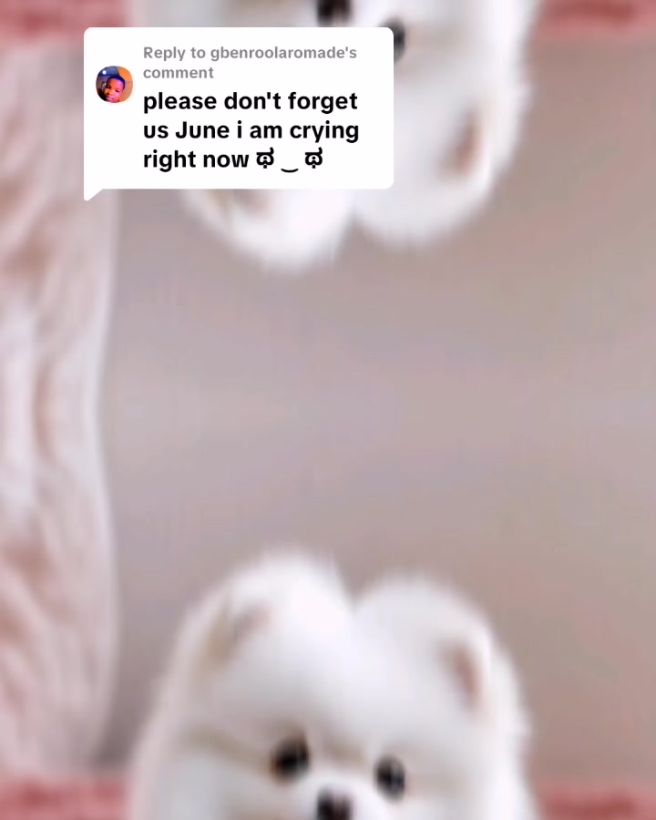 @pretty Lovie🌸 🌸 🌸🌸