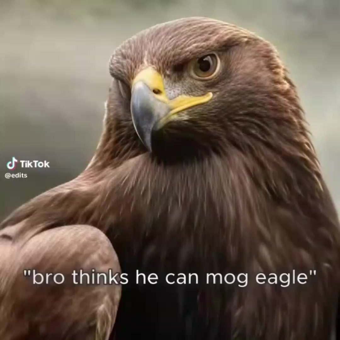 @𝐋𝐨𝐫𝐜𝐲_
