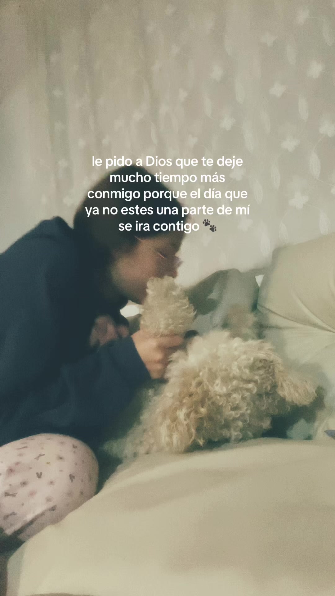 @castypauu