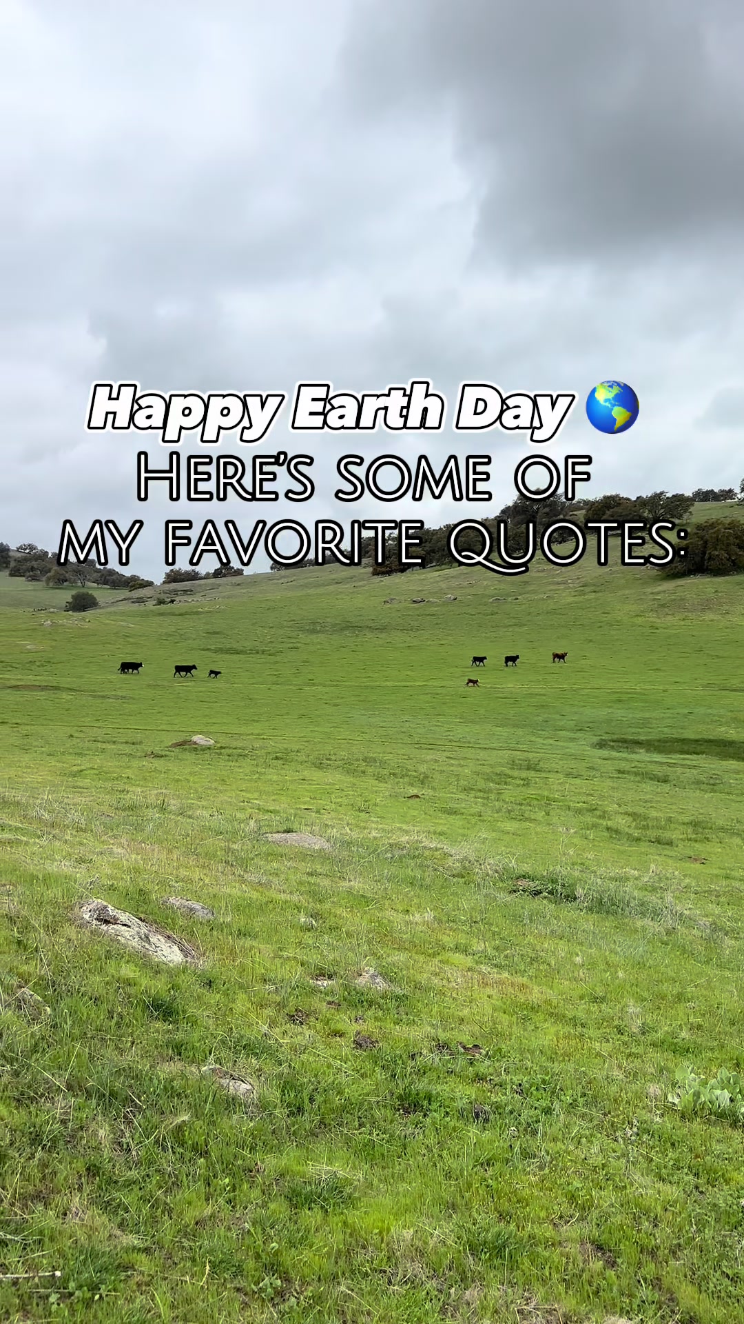 @Alli Fender at Flying F Ranch