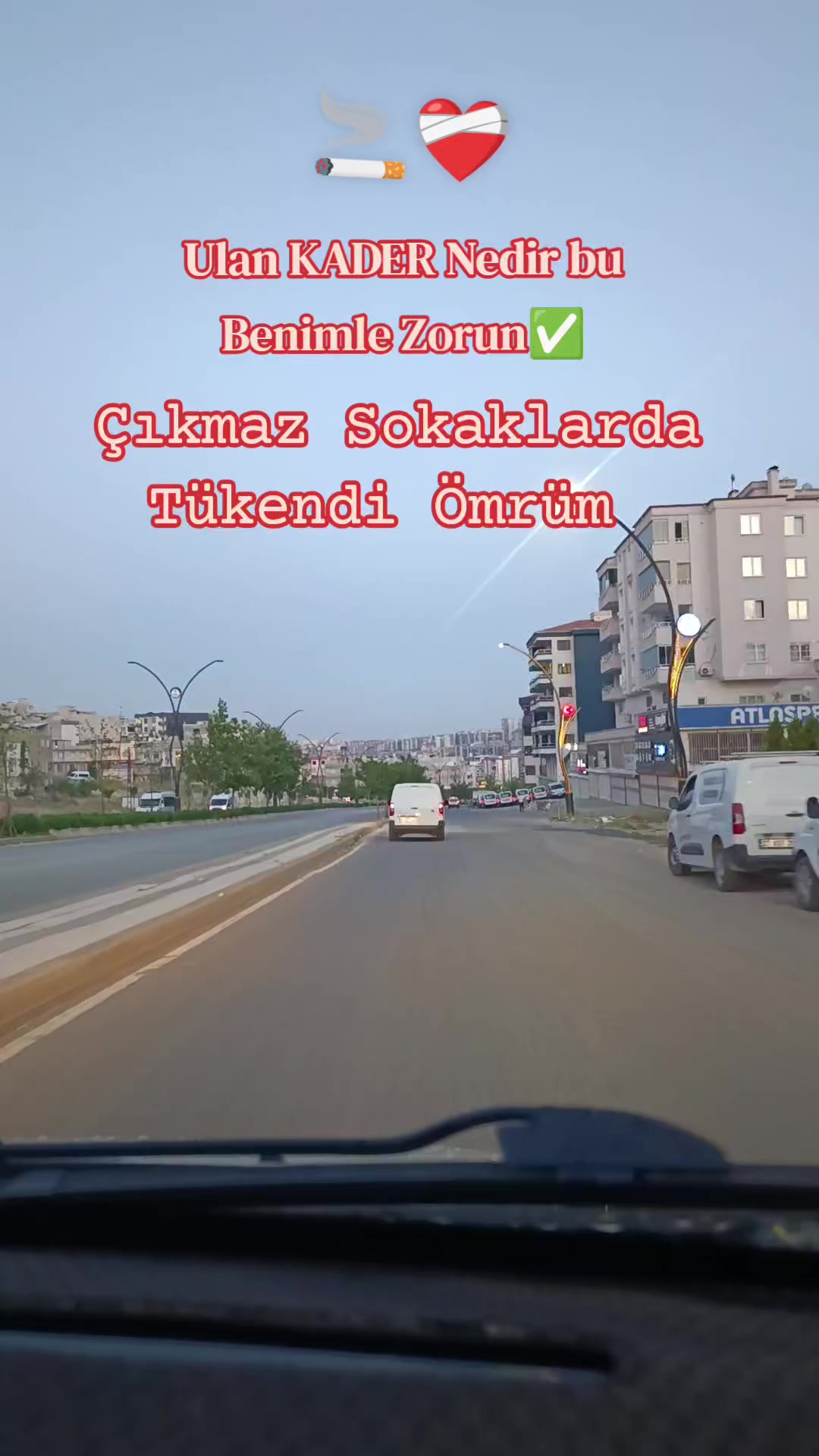 @🕊️·.·★ ᴀsɪ̇ ʀᴜ̈ᴢɢᴀʀ★·.🕊️