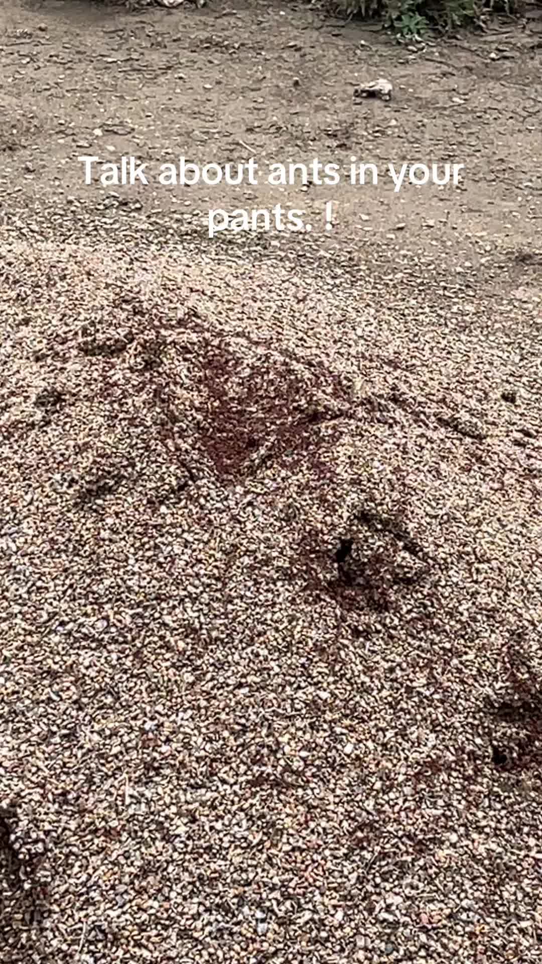 @K9RickyBobby109