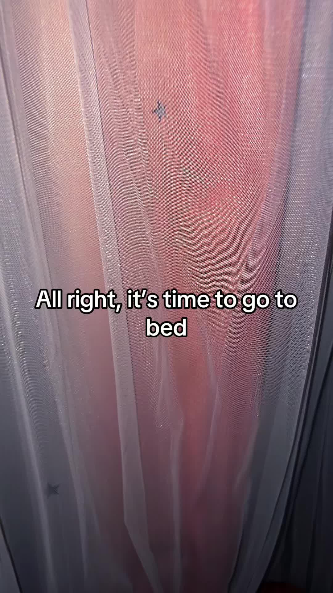 @⋆. 𐙚˚࿔Rexi𝜗𝜚˚⋆