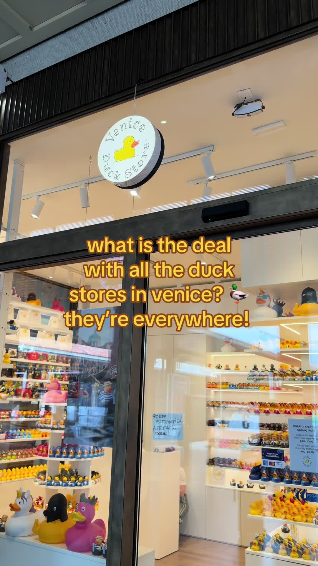 @thewilltochoose