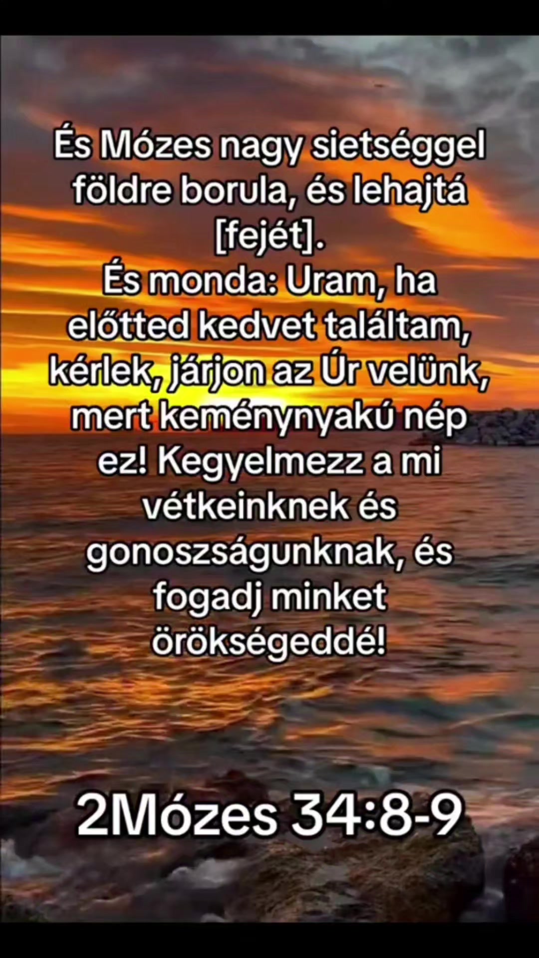 @Emilia Pilarová ❤🕊🙏🌹