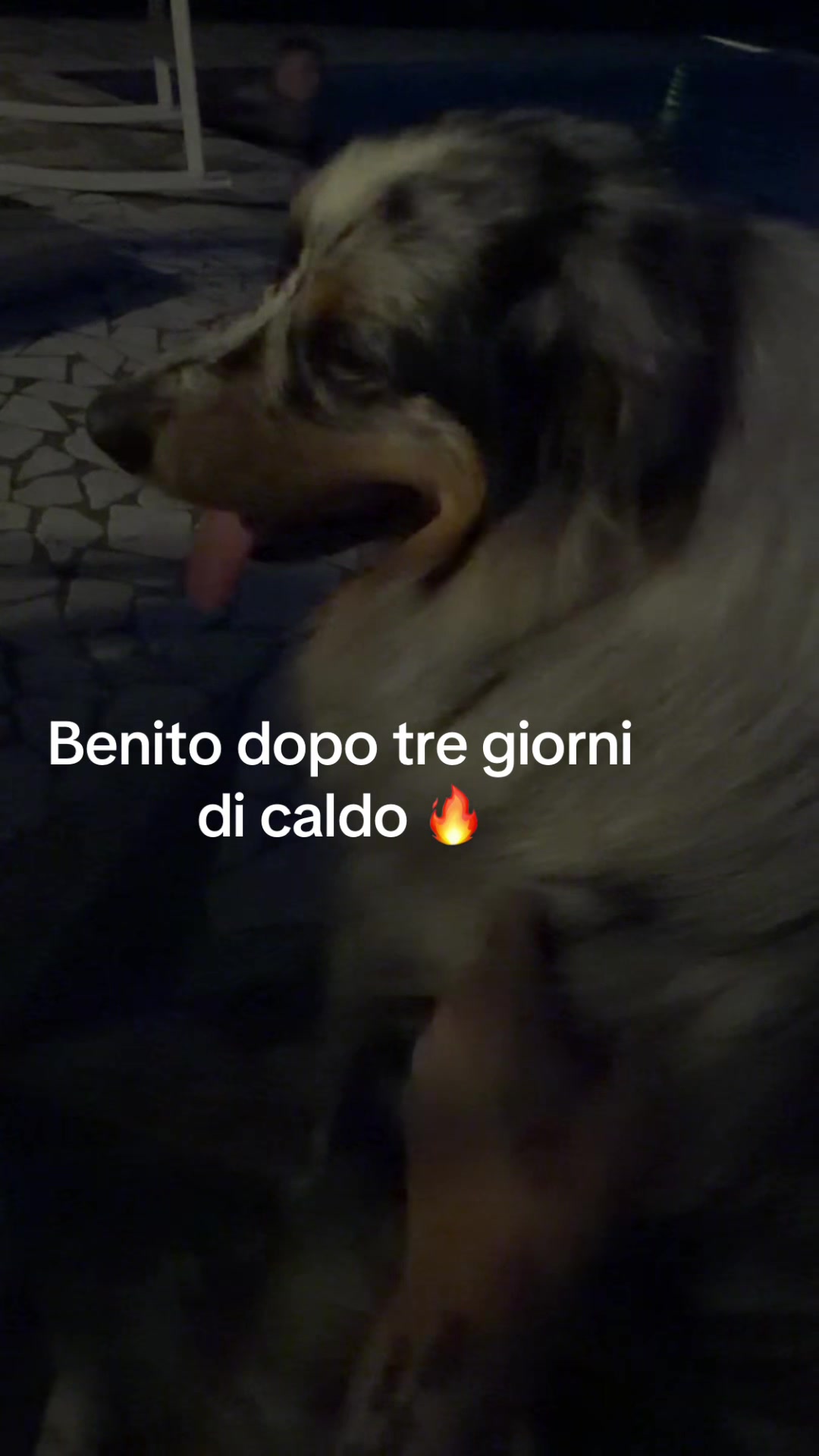 @Annalisa ❤️