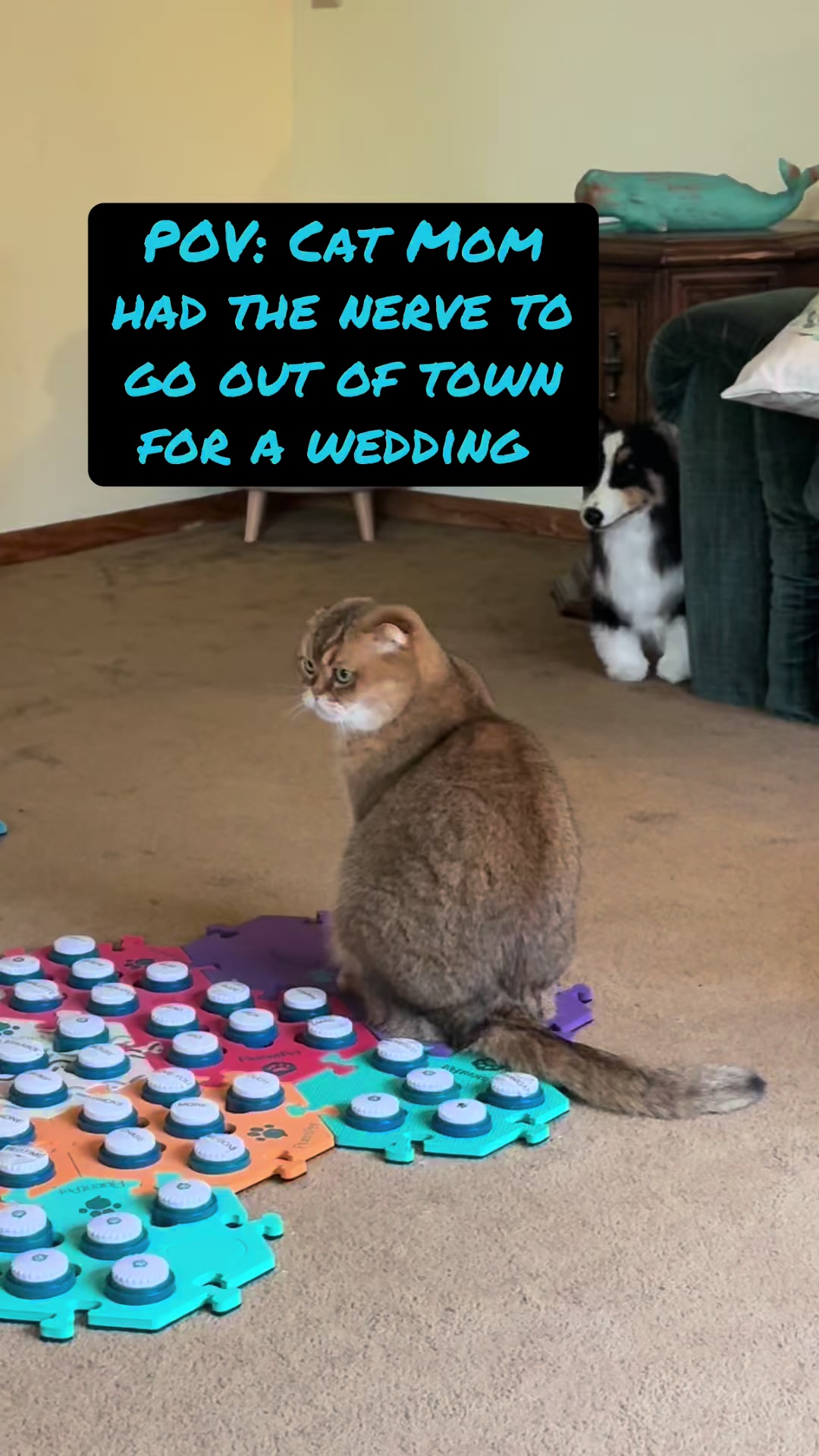 @Puffindoestricks