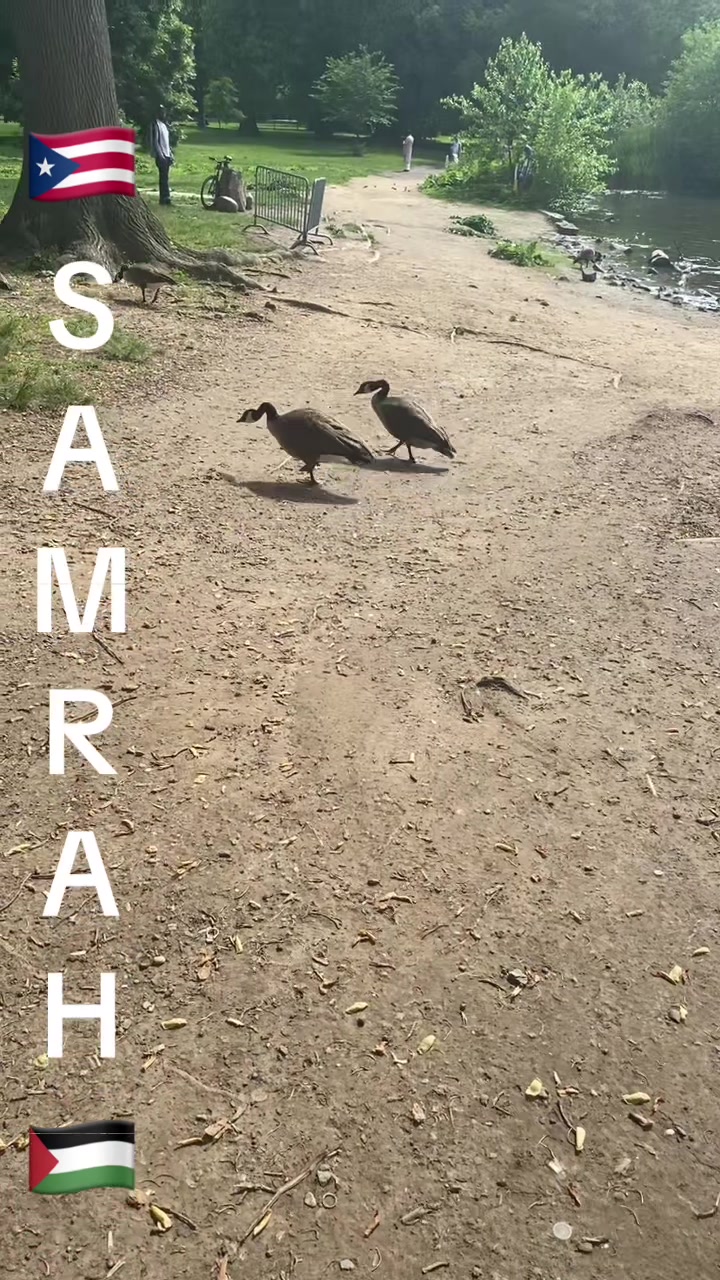 @Samrah888