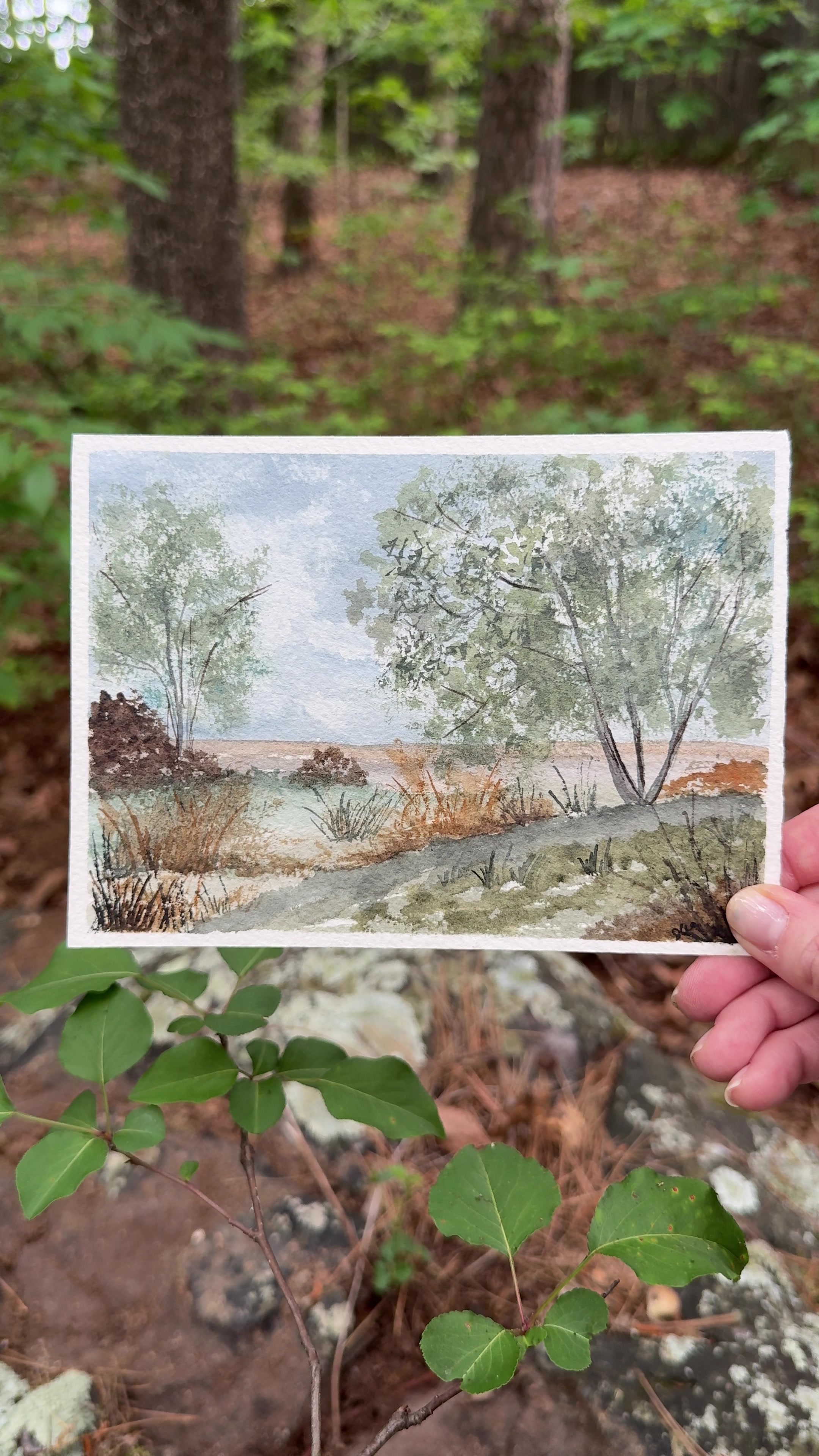 @Lark Watercolor & Art