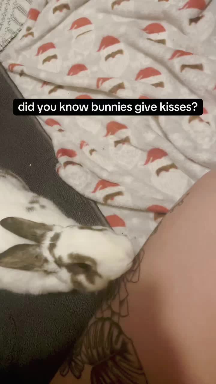 @maia katherine👋🏼