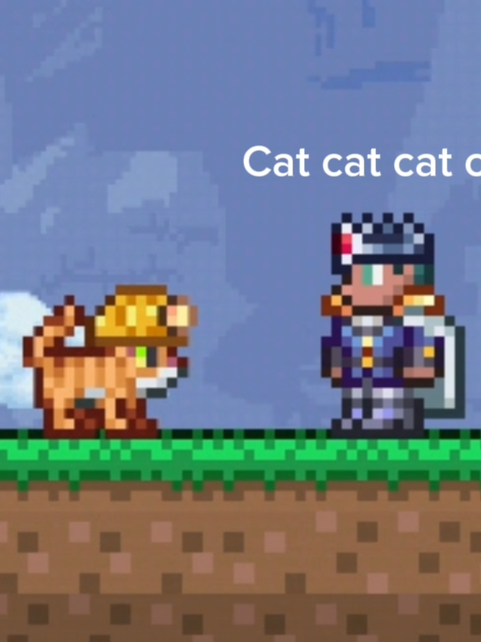 @terraria Mateusz