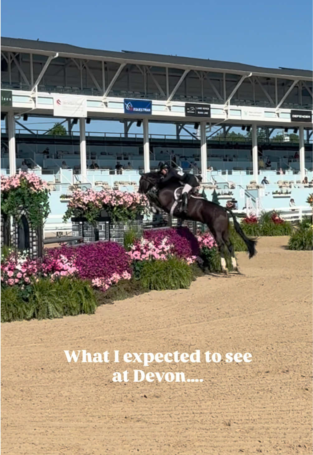 @Equestrian |🦄 Mom
