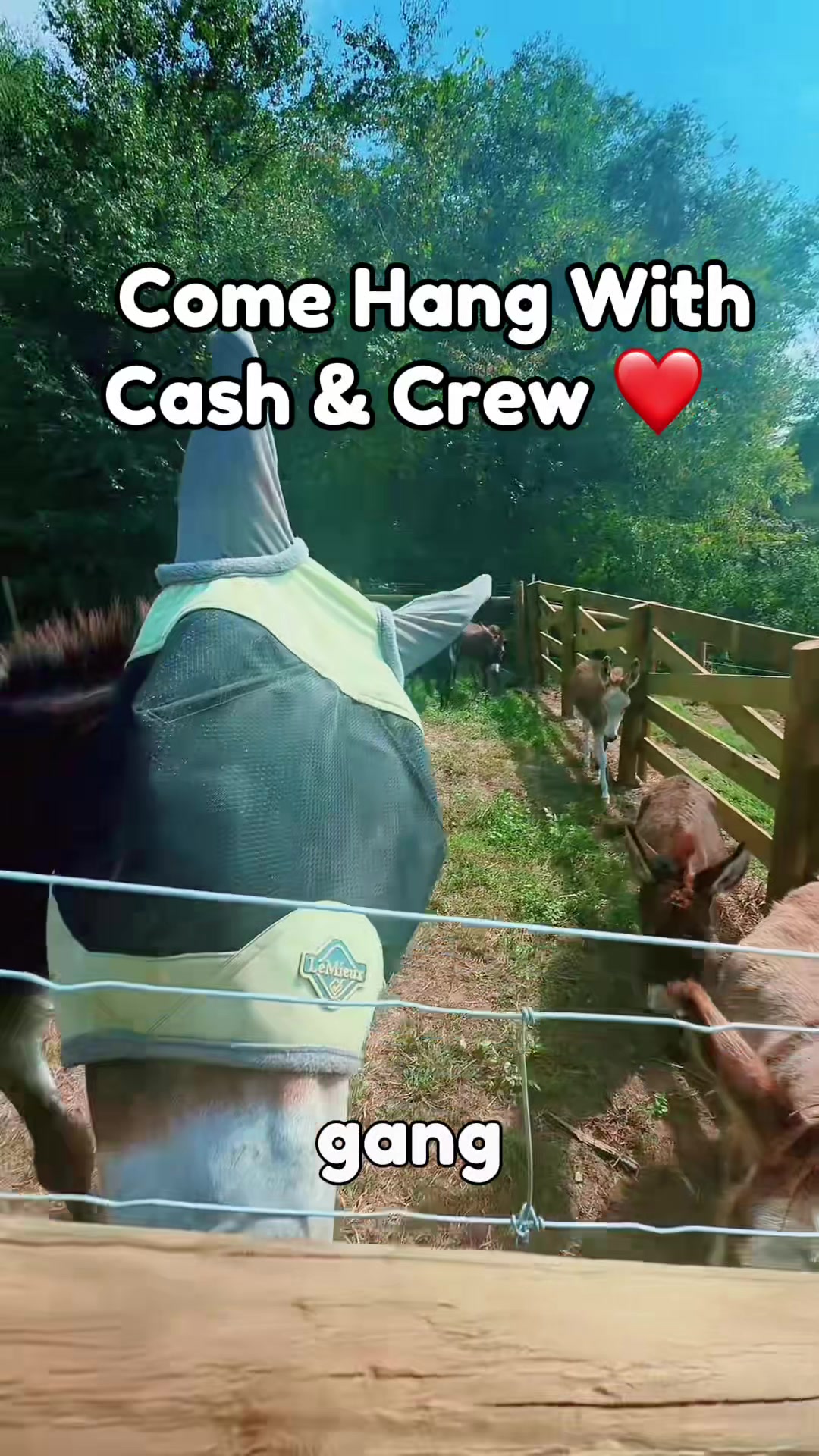 @Our Simple Homestead