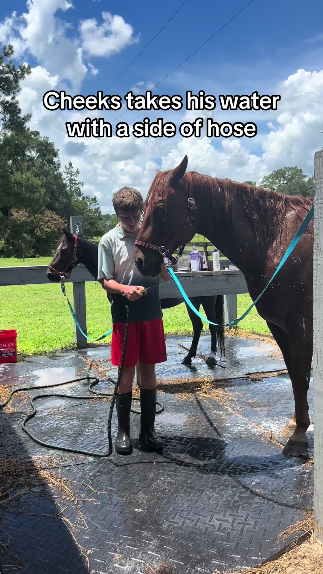 @itiswellstables