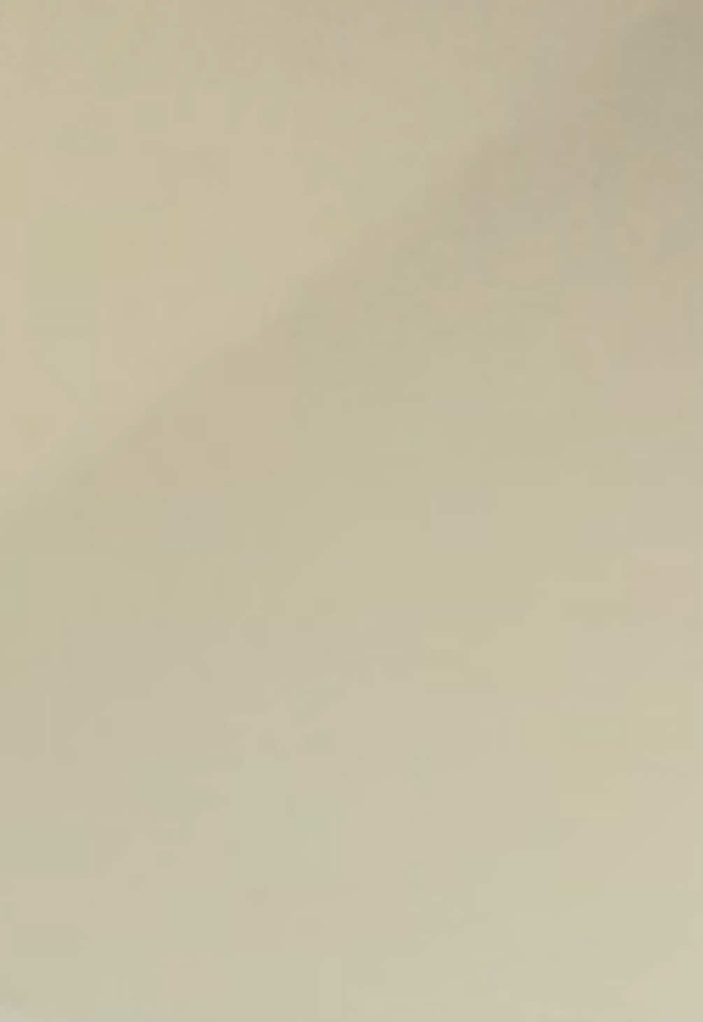 @︎ ︎ ︎ ꨄ