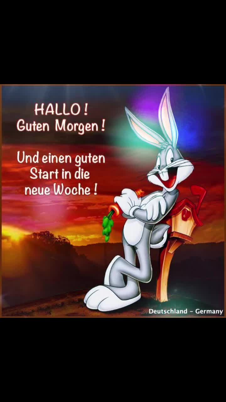 @Einhorn
