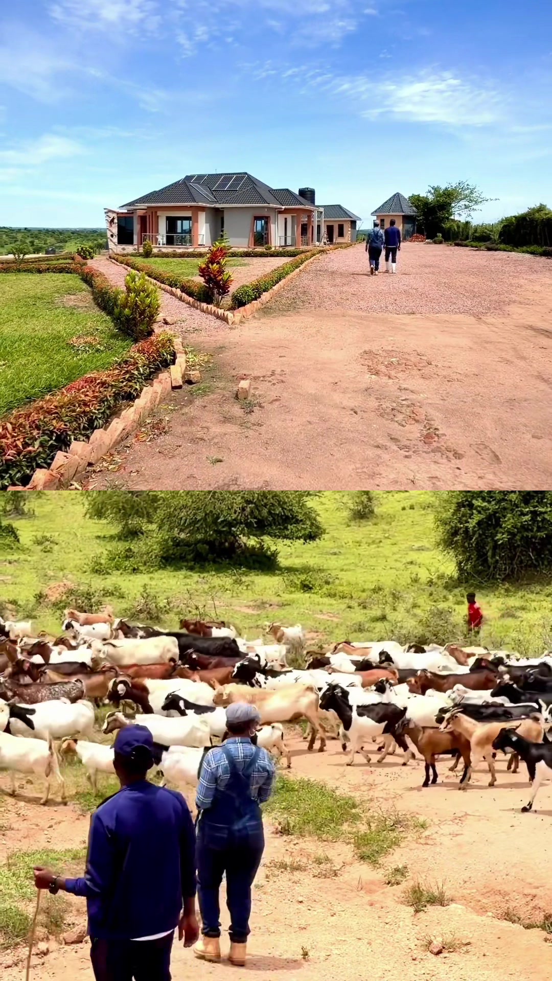 @Ruth Kalibbala Bwanika