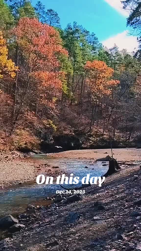 @DakotaD | the scenic gardener