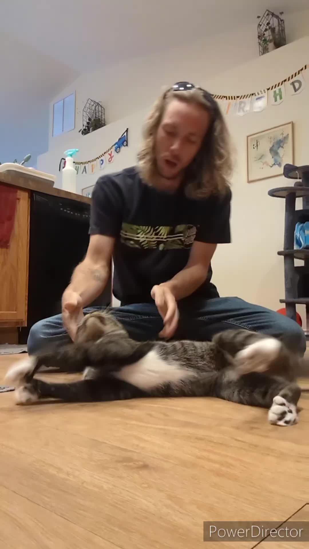 @Rainy the Cat