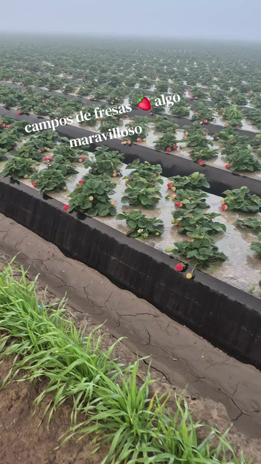 @💙🖤🍀🦋Camarillo Ad🍀💙🖤
