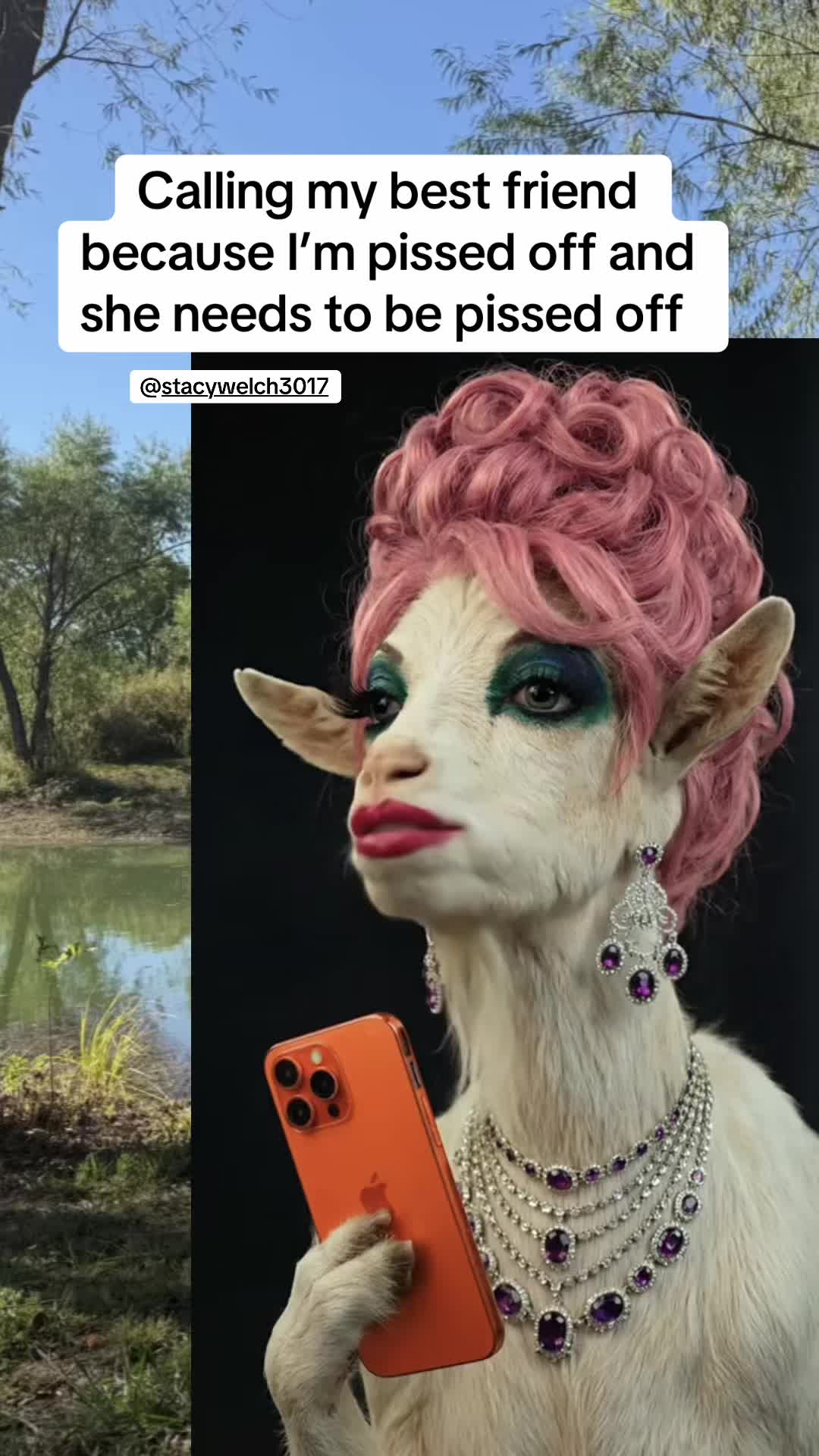 @NonniesFunnyFarm