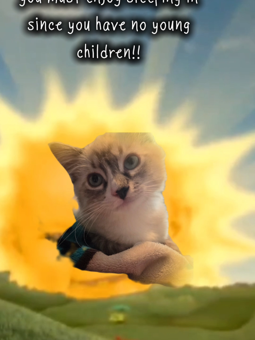 @Pet Stylist Christina